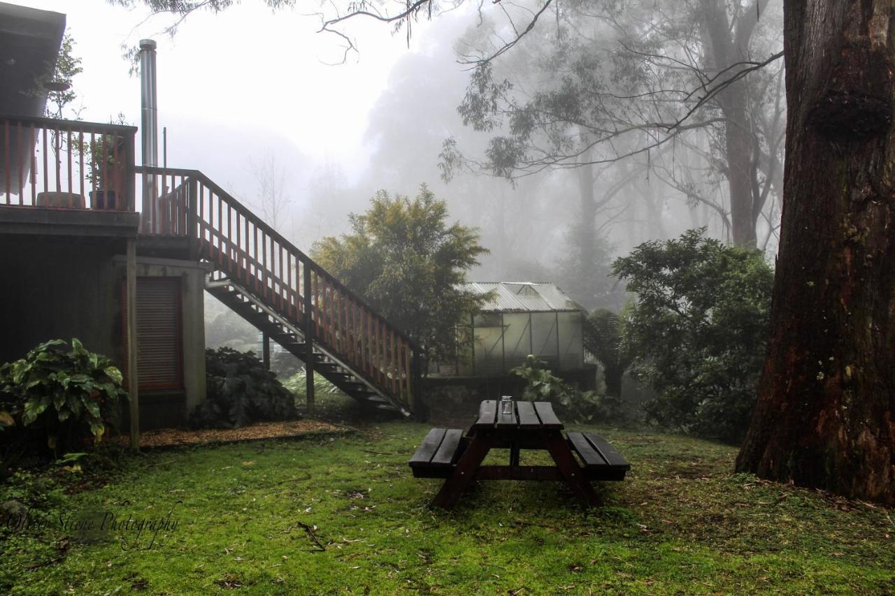 Tomah Retreat - Studio Chill With Fireplace And Clawfoot Bath Bed and Breakfast Mount Tomah Buitenkant foto