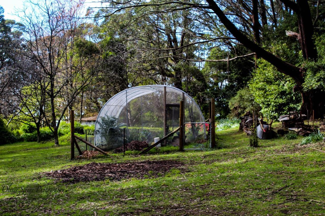 Tomah Retreat - Studio Chill With Fireplace And Clawfoot Bath Bed and Breakfast Mount Tomah Buitenkant foto