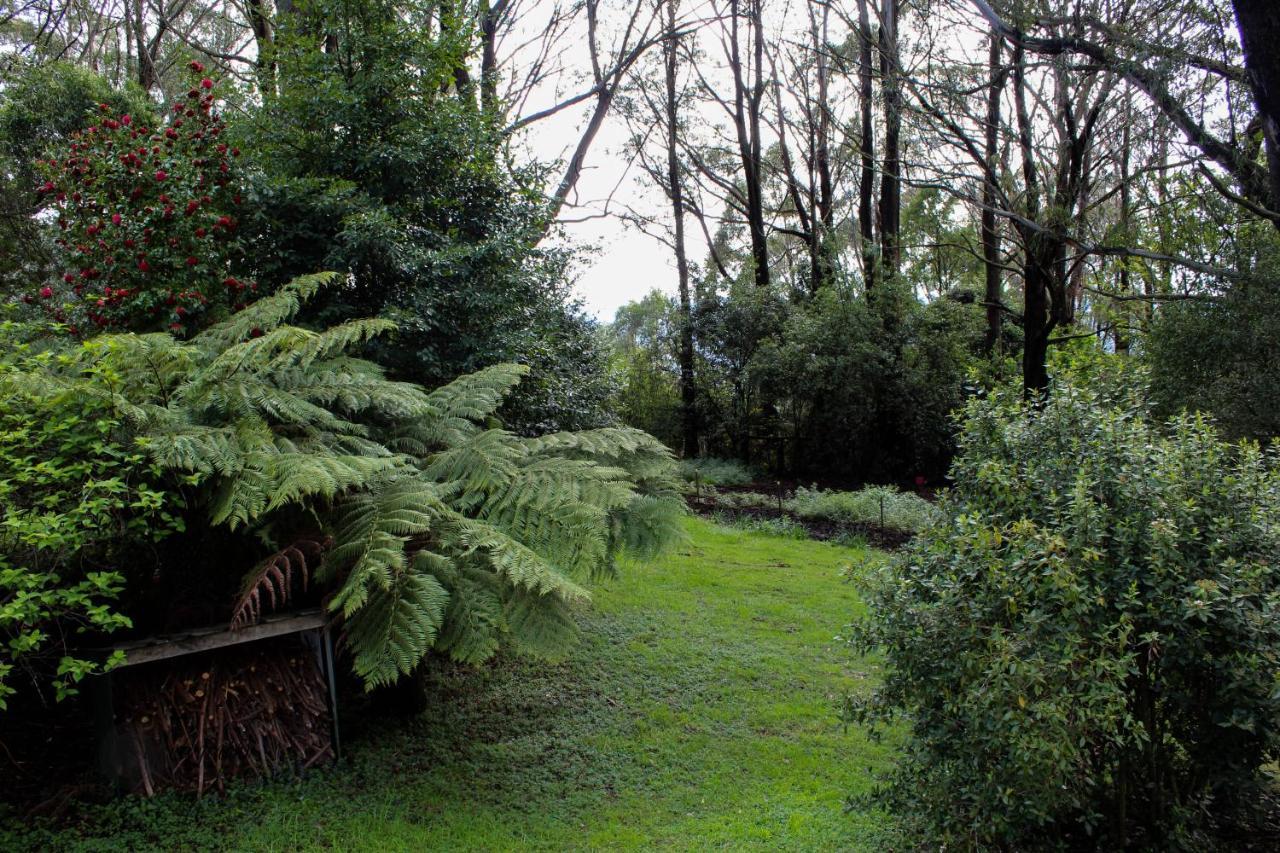 Tomah Retreat - Studio Chill With Fireplace And Clawfoot Bath Bed and Breakfast Mount Tomah Buitenkant foto